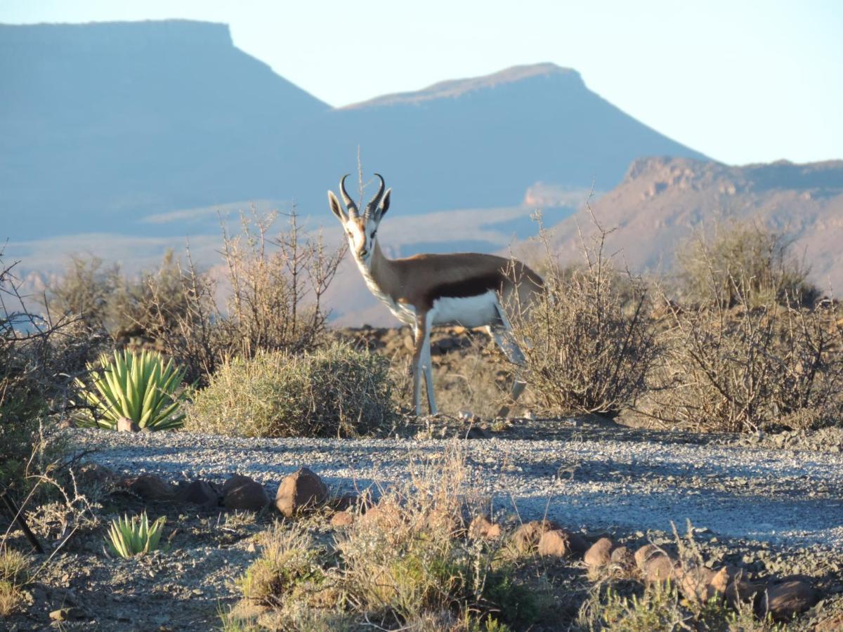 Teri-Lemveli Lodge Beaufort West Kültér fotó