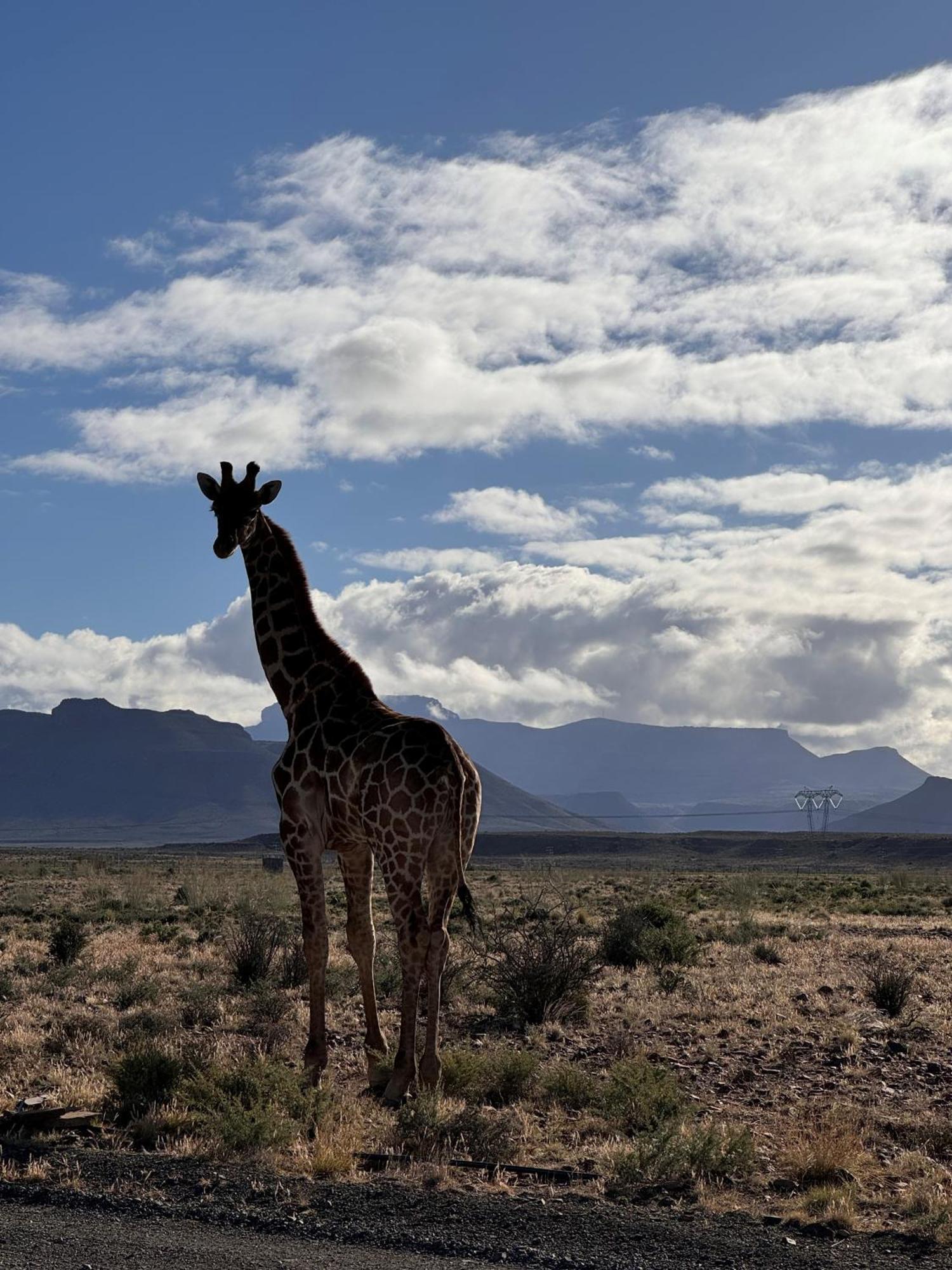 Teri-Lemveli Lodge Beaufort West Kültér fotó