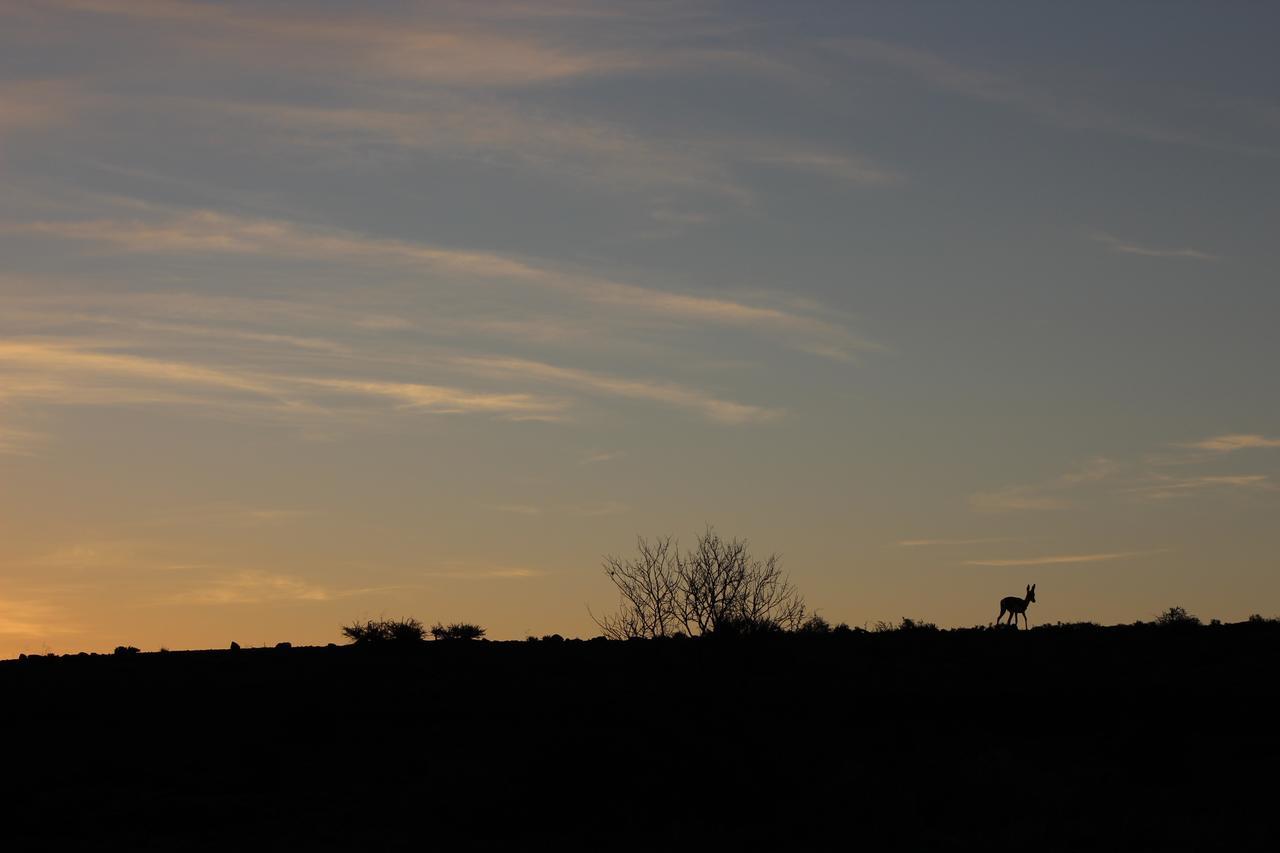Teri-Lemveli Lodge Beaufort West Kültér fotó