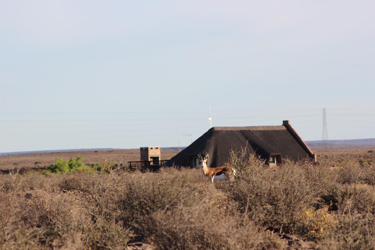 Teri-Lemveli Lodge Beaufort West Kültér fotó