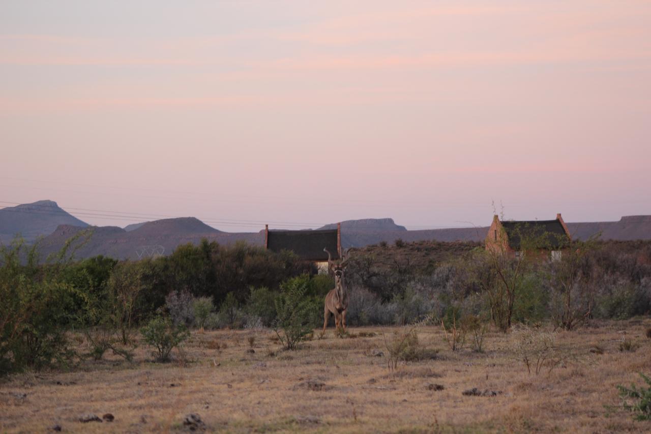 Teri-Lemveli Lodge Beaufort West Kültér fotó