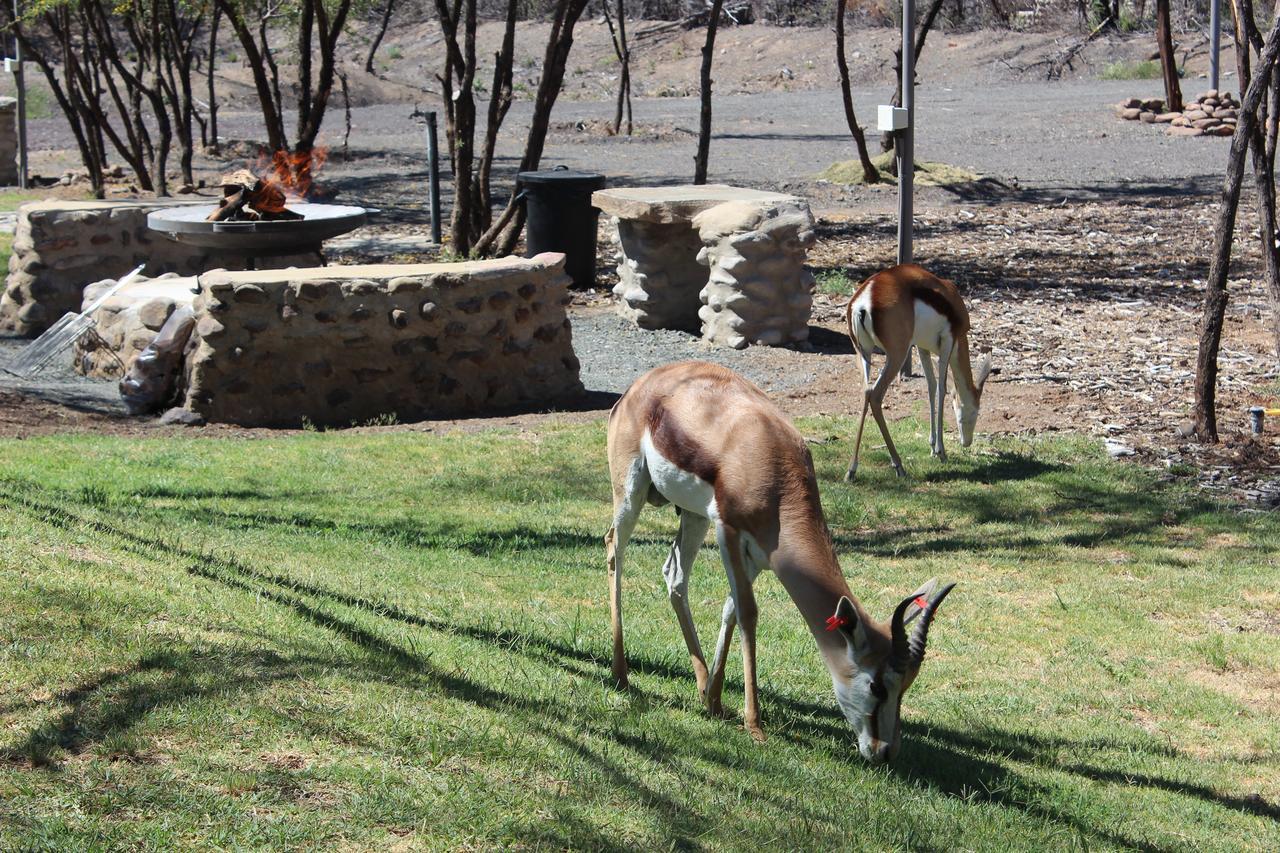 Teri-Lemveli Lodge Beaufort West Kültér fotó
